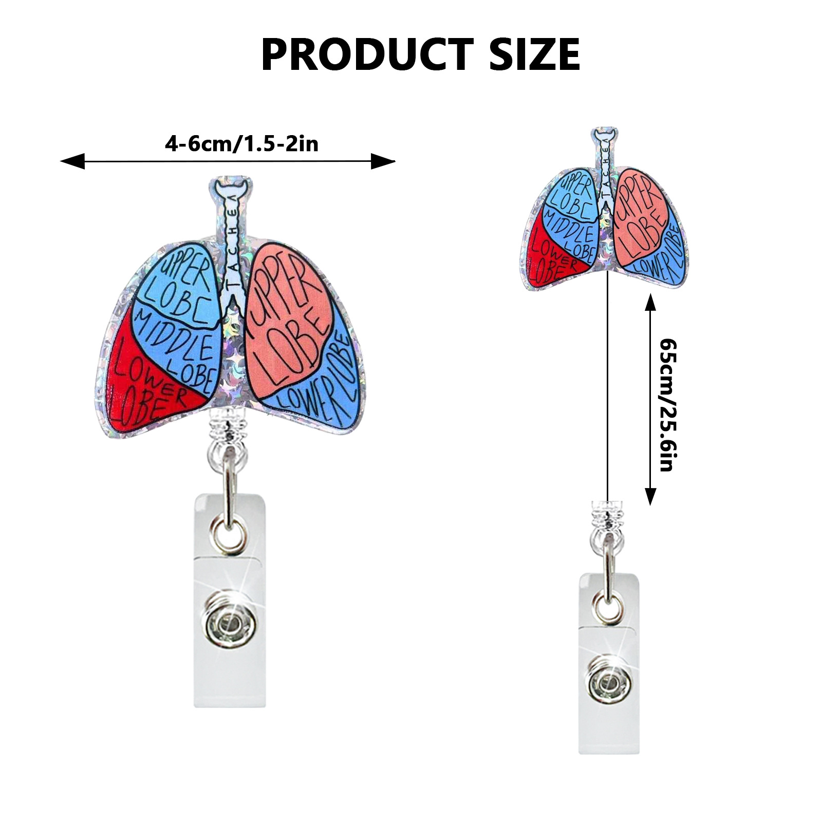 Creative Acrylic Heart Lung Br - Xray Tech Accessories บทวิจารณ์และราคา