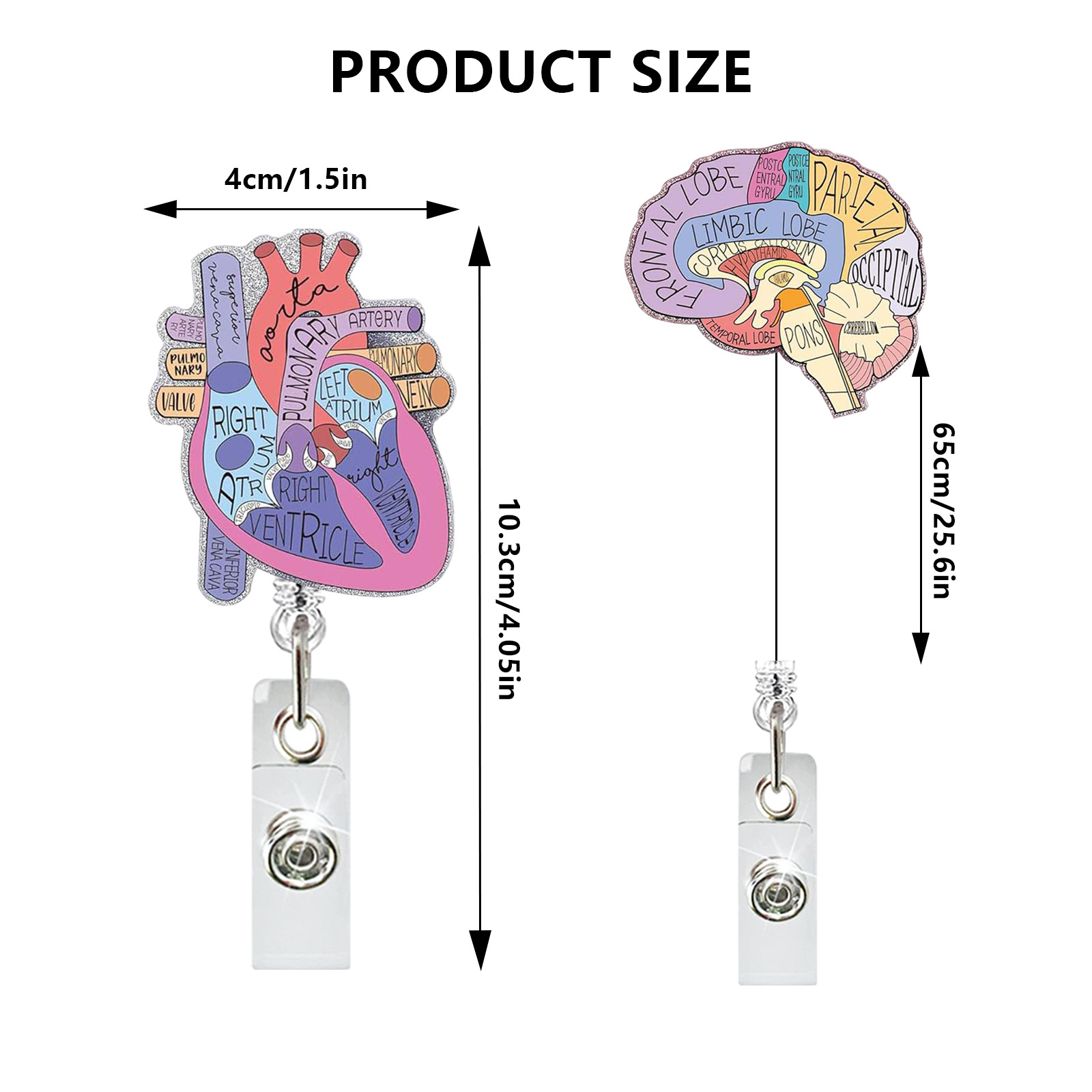 Medical Care Heart Lungs Brain - Xray Tech Accessories บทวิจารณ์และราคา