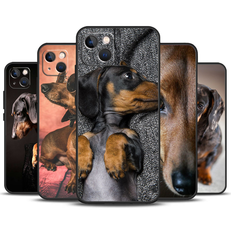 Cute Dachshund Teckel Dackel D - Tech Accessories Iphone บทวิจารณ์และราคา
