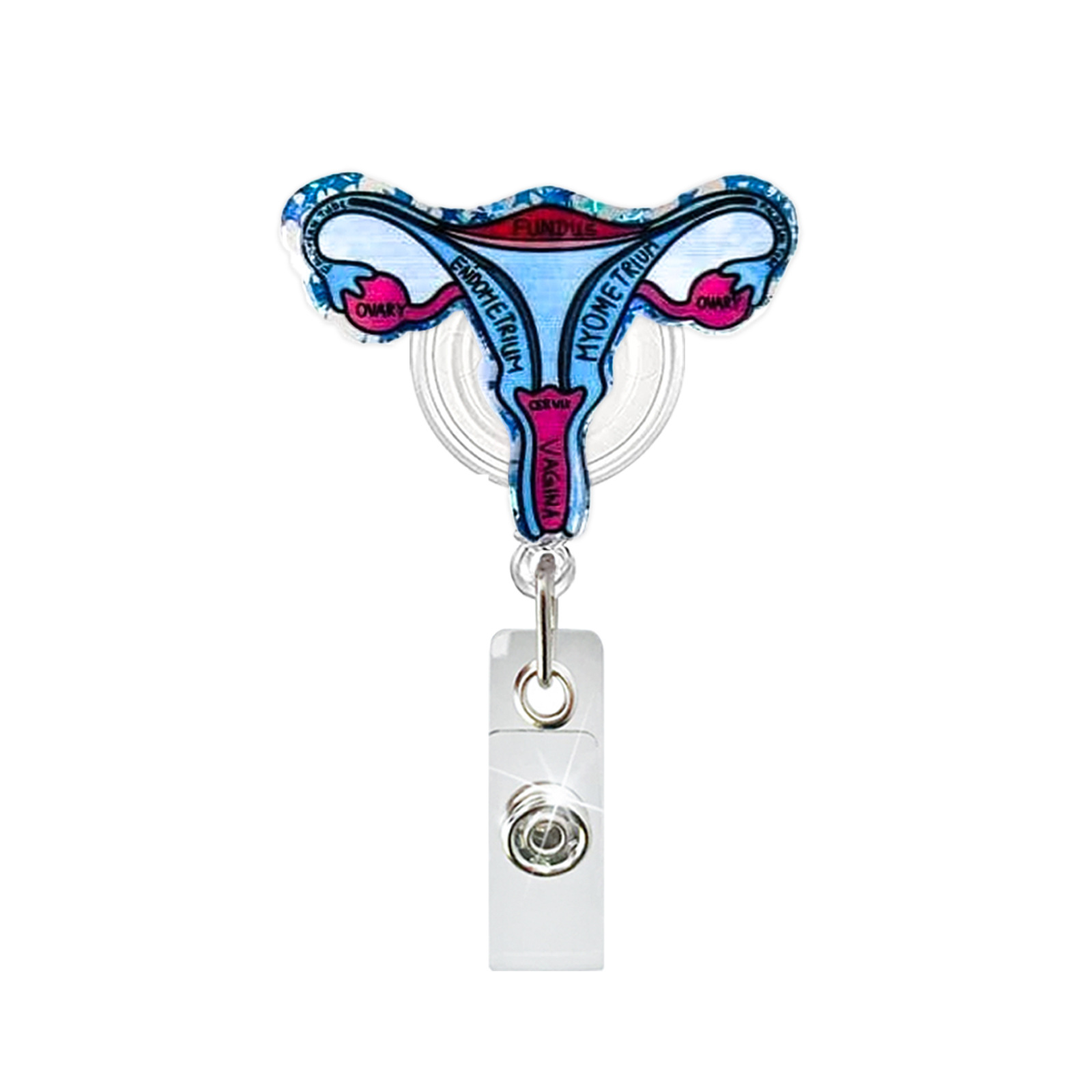 Acrylic Heart Lung Brain Kidne - Xray Tech Accessories บทวิจารณ์และราคา
